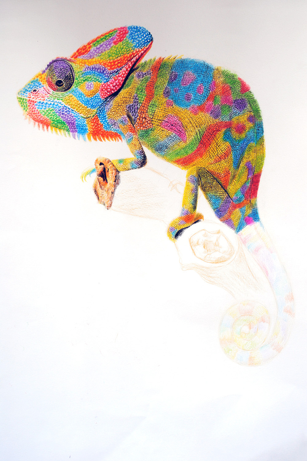 oy彩铅画:变色龙
