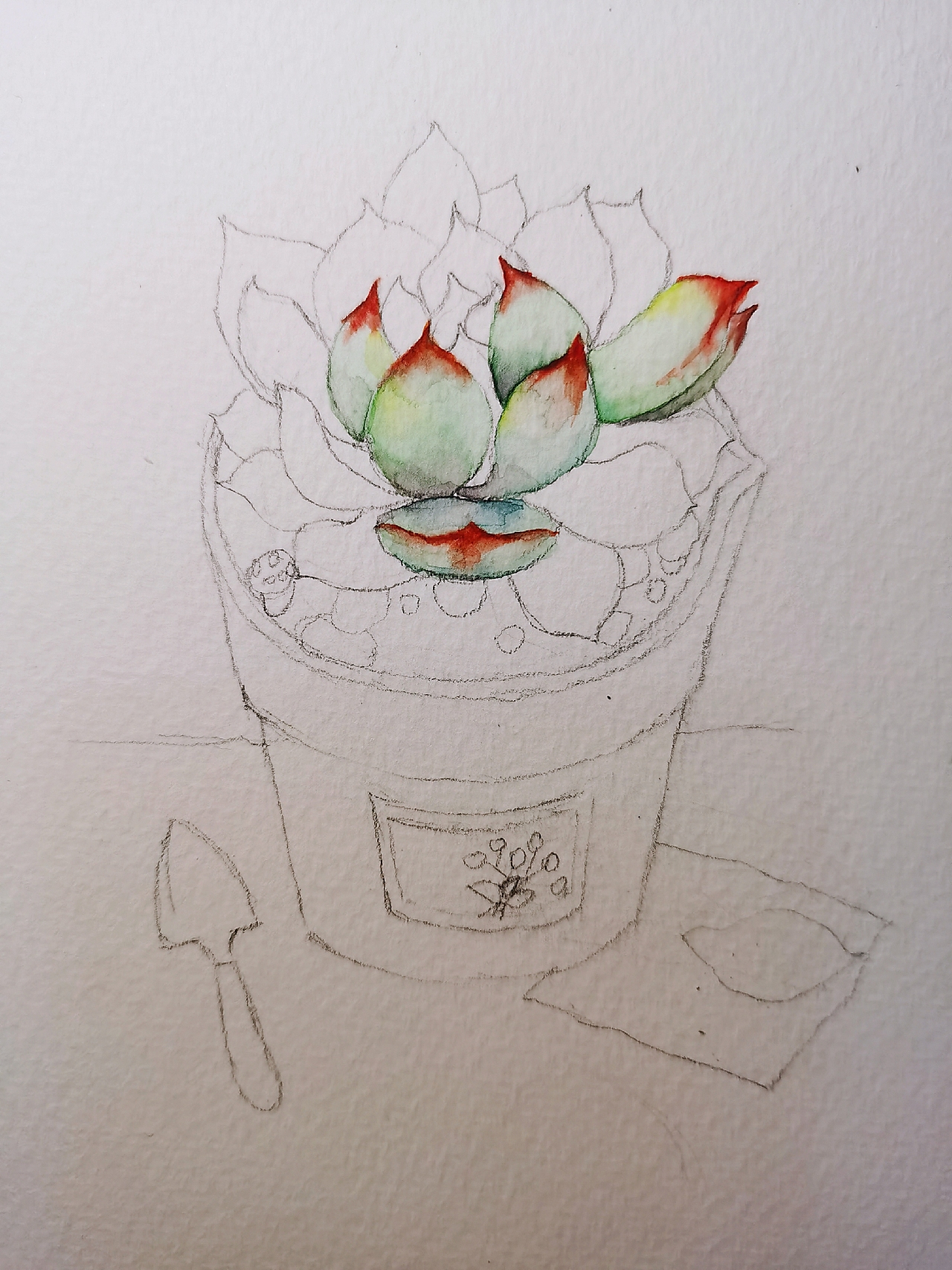 小肉肉（图ZMTk5NjAwOTA4） - 创作习作 - 站酷设计师Echo731393527原创素材 - 站酷ZCOOL