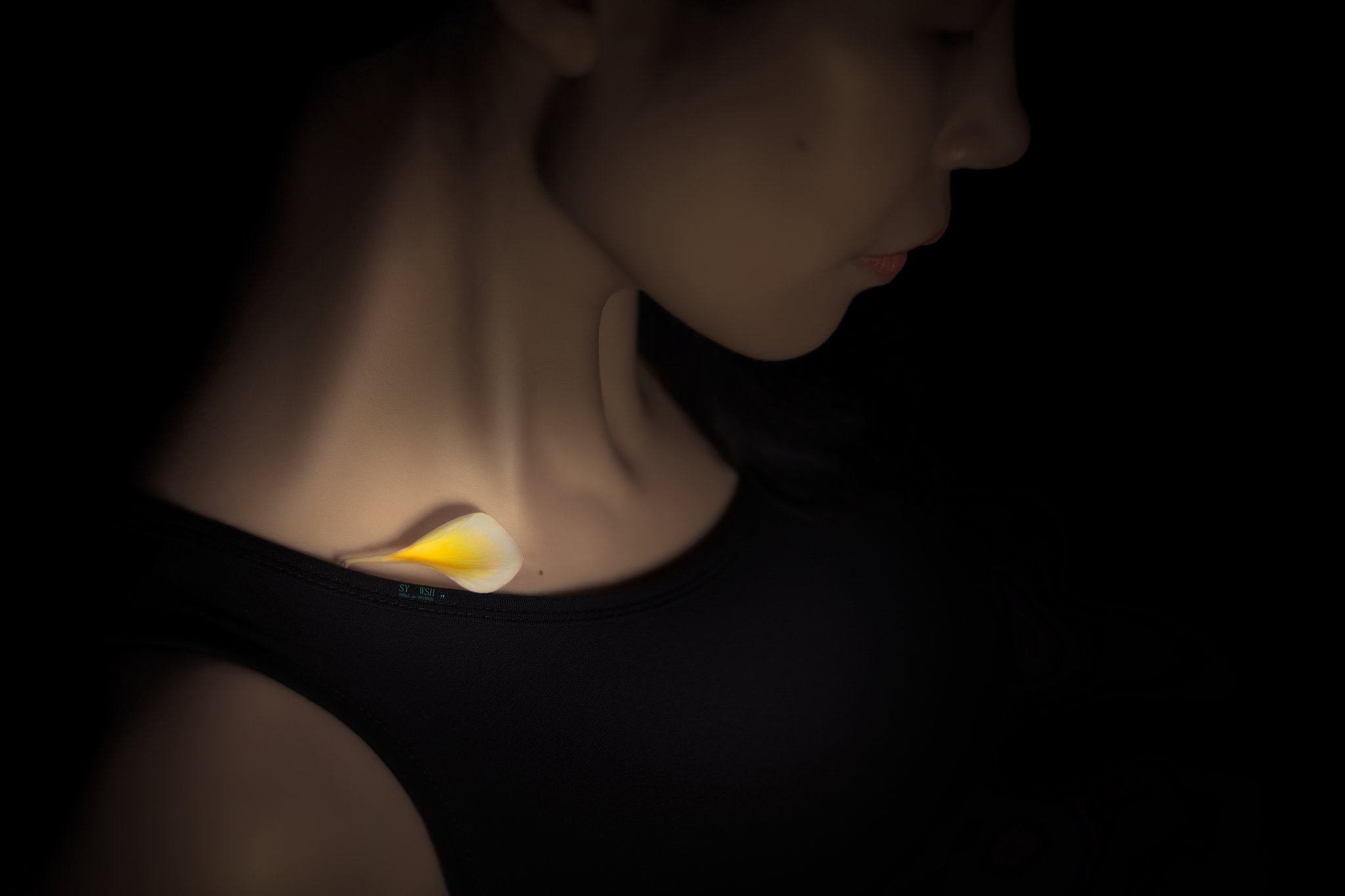 梅干菜兒的個(gè)人主頁(yè)（封面預(yù)覽） - 主頁(yè)封面設(shè)置 - 站酷設(shè)計(jì)師梅干菜兒原創(chuàng)素材 - 站酷ZCOOL