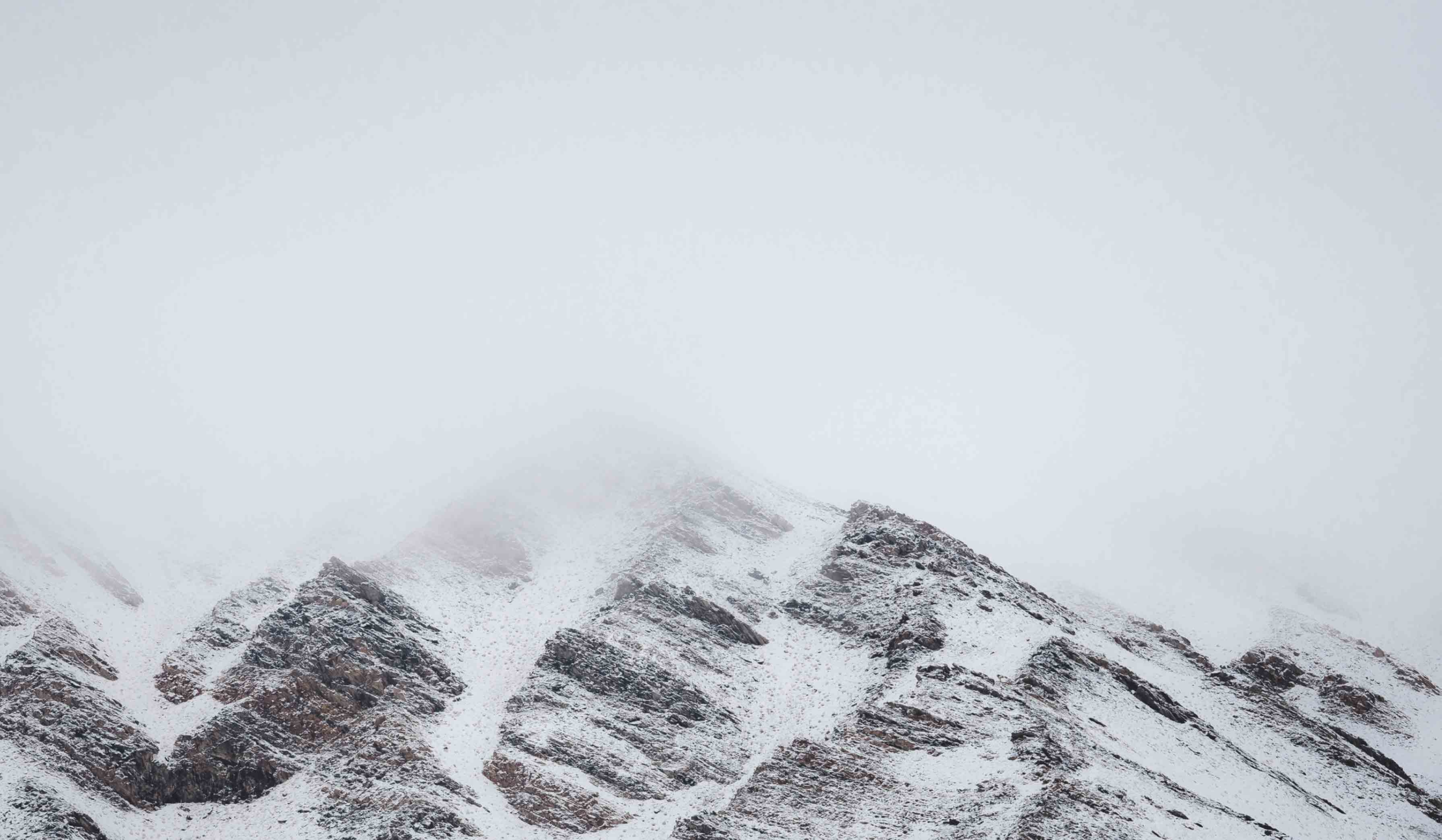白雀品牌设计的个人主页（背景预览） - 主页背景设置 - 站酷设计师白雀品牌设计原创素材 - 站酷ZCOOL