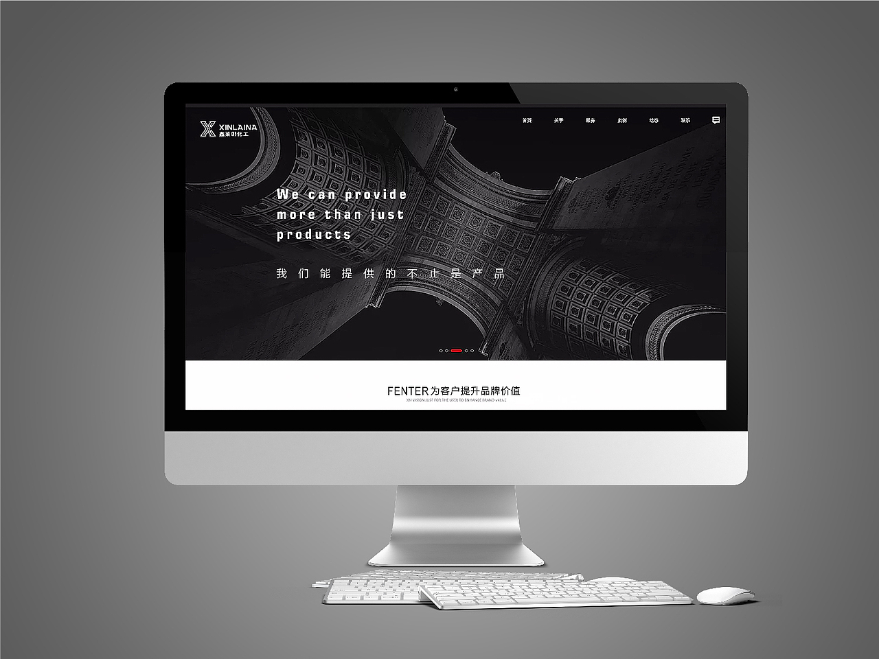 鑫莱娜品牌视觉提案