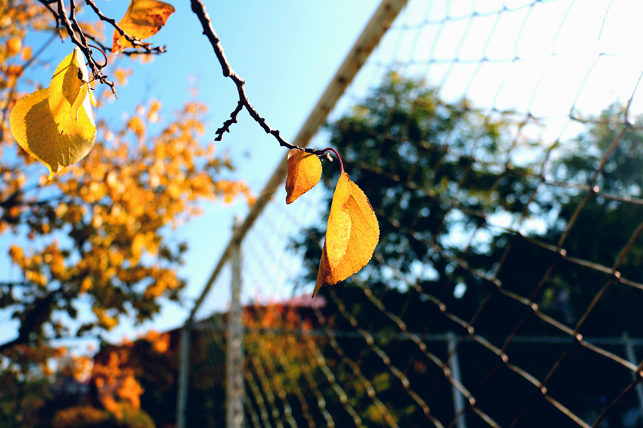 因为热爱 所以闪光