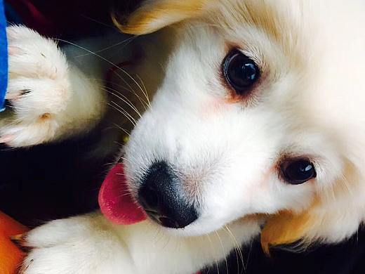 果果,新年快乐。O(∩_∩)O哈哈~