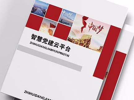 党建宣传册