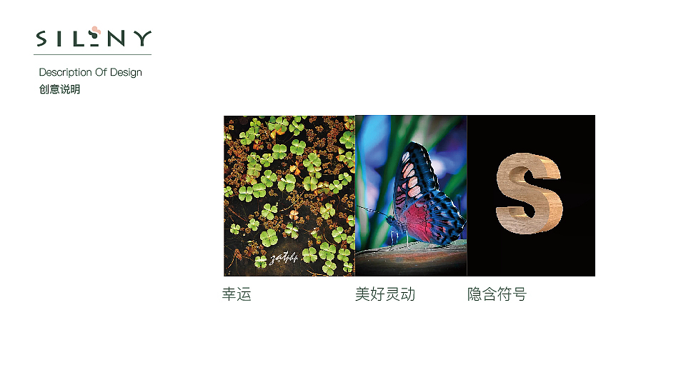 silny首饰品牌（图ZMjY2MzAyNTA0） - Logo - 站酷设计师shanliqiangart原创素材 - 站酷ZCOOL