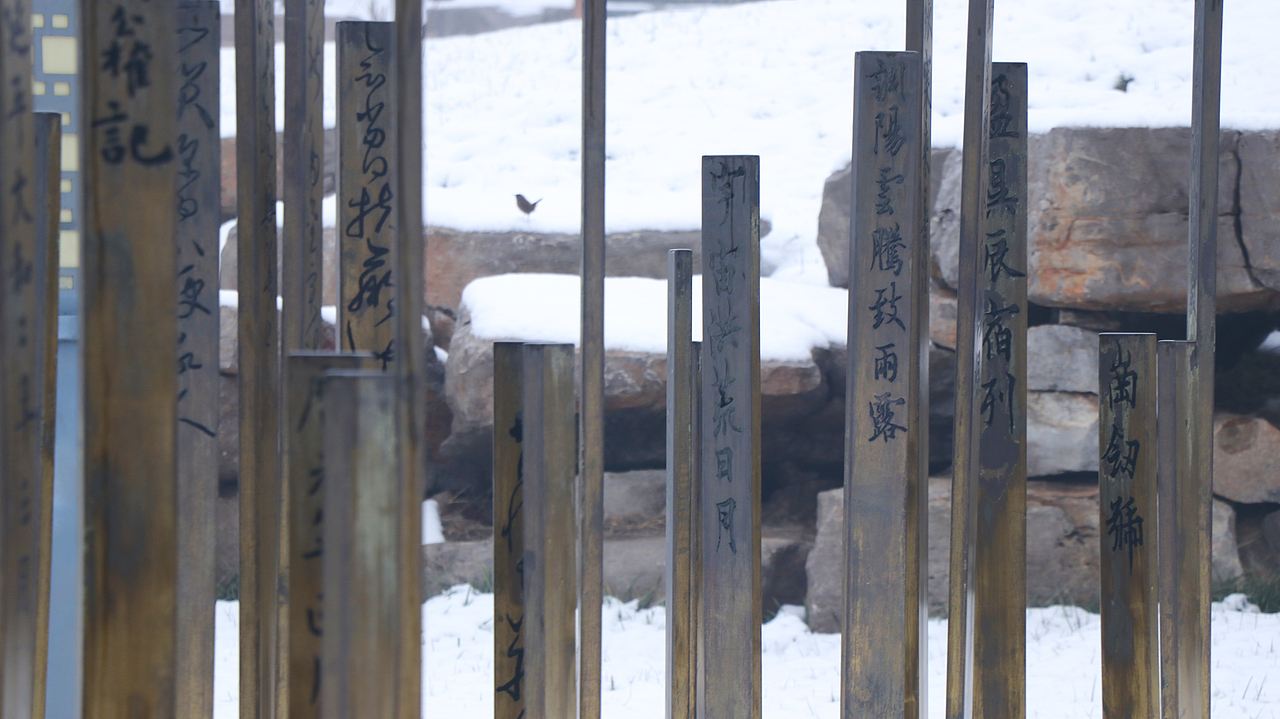 练习拍摄雪景（图ZMTkwNTMxODEy） - 环境/建筑摄影 - 站酷设计师聆东先生原创素材 - 站酷ZCOOL