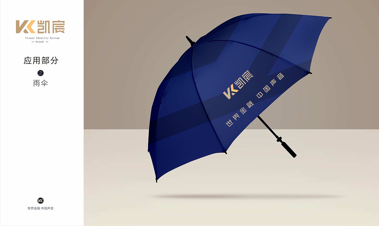 企业家个人品牌VI