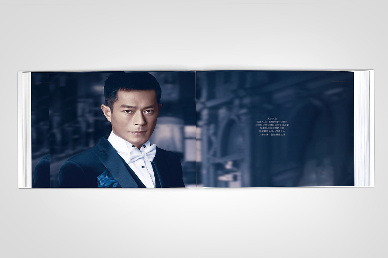 画册（图ZMTgxNDM4ODcy） - 书籍/画册 - 站酷设计师外地来的异乡人原创素材 - 站酷ZCOOL