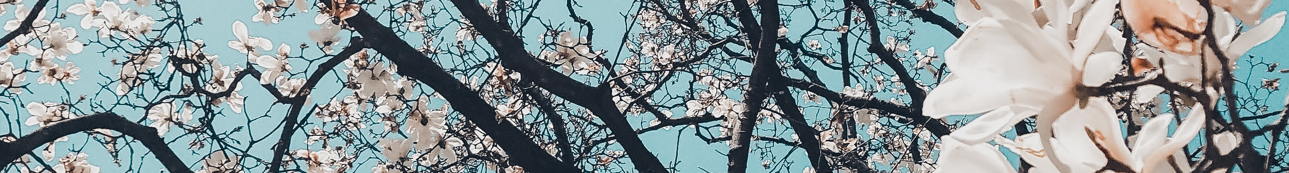 左岸YJW的个人主页（封面预览） - 主页封面设置 - 站酷设计师左岸YJW原创素材 - 站酷ZCOOL