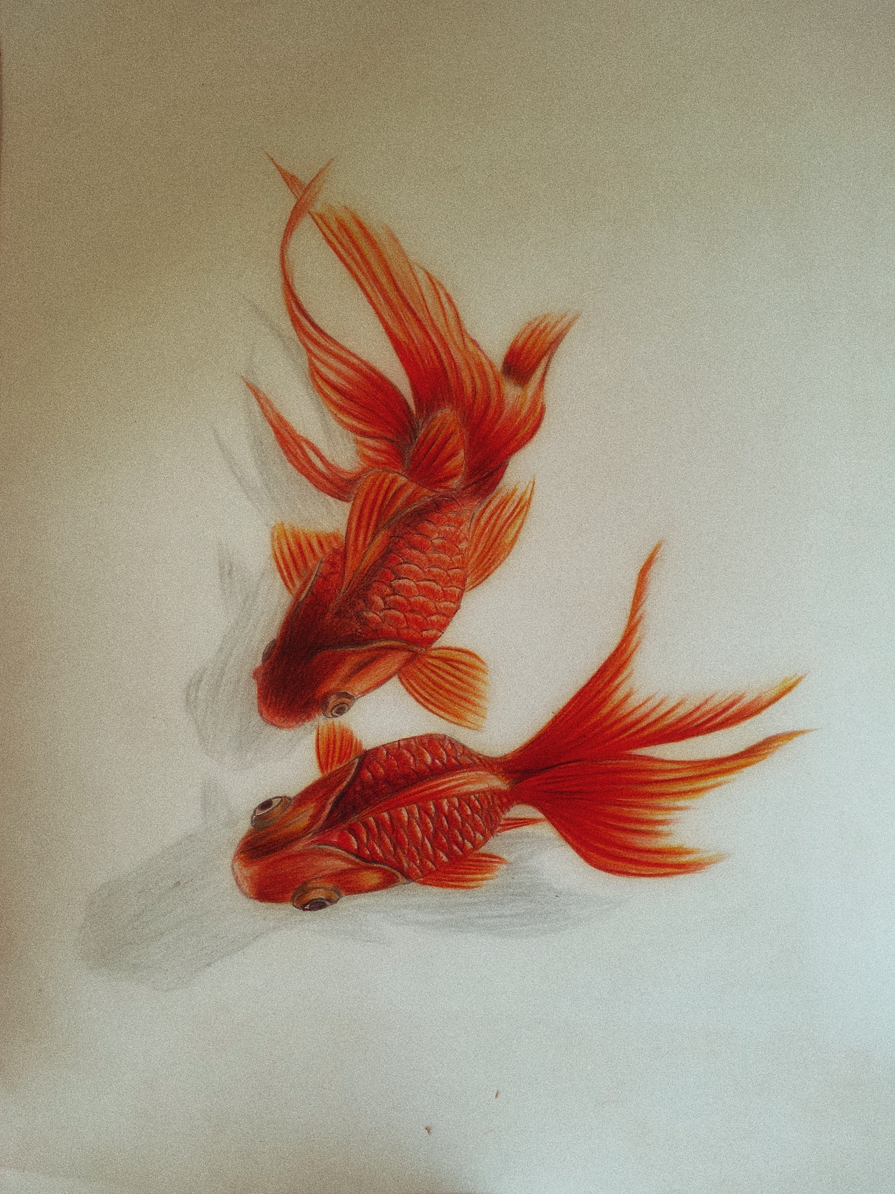 手绘临摹_素描_彩铅