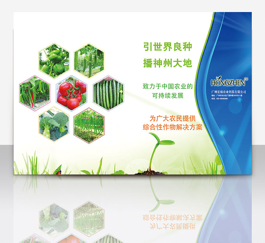农业种子宣传海报（图ZNzY2Mjc2ODg=） - 海报 - 站酷设计师青柠x原创素材 - 站酷ZCOOL