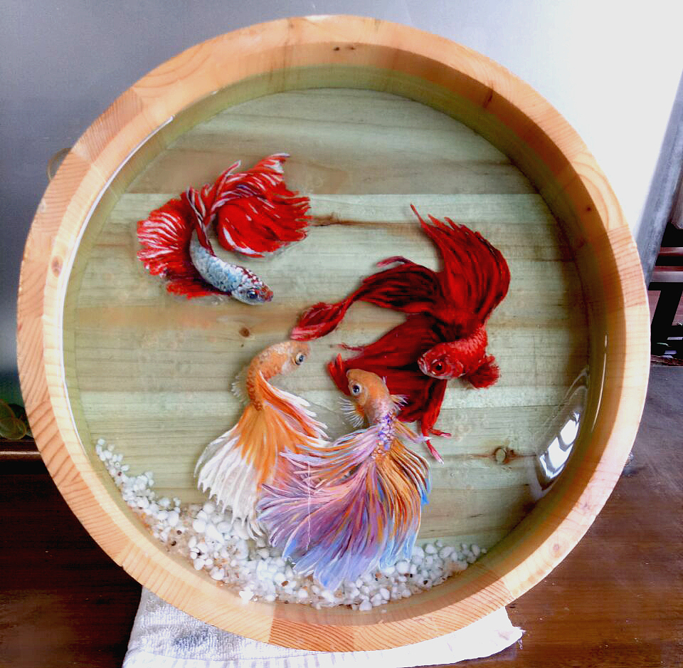 礼品-木盆-斗鱼-群鱼（图ZMTc1MDY3NzQ4） - 工艺品设计 - 站酷设计师66697272原创素材 - 站酷ZCOOL