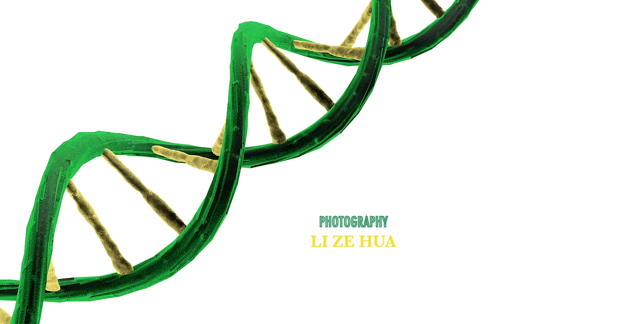 Human Destiny（图ZMTUxNDkxMjk2） - Motion Graphic - 站酷设计师Z45186597原创素材 - 站酷ZCOOL