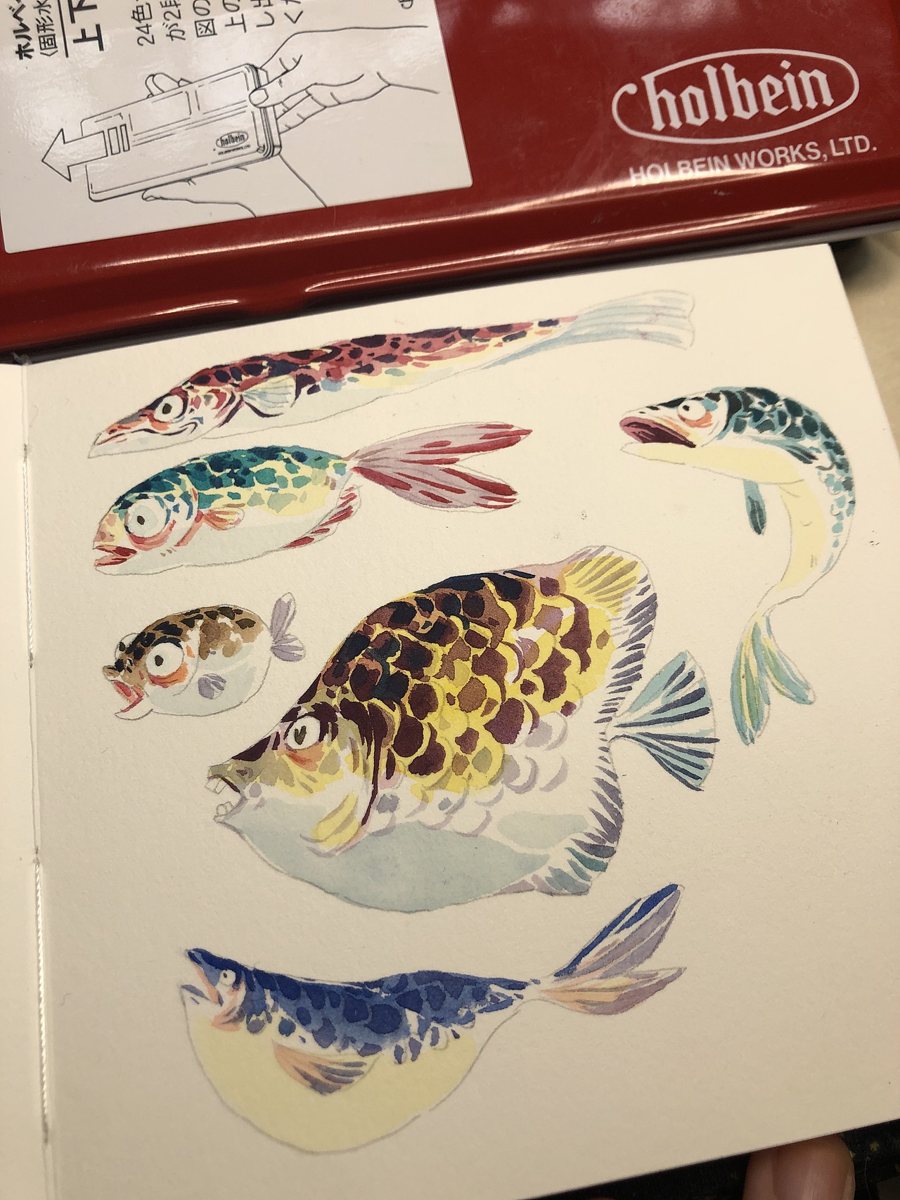 水彩插画习作