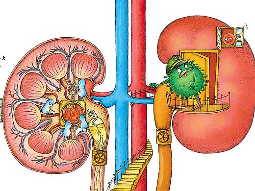 科普绘本（一）参观人体大楼（个人主页-ZNjM3MzI2MDg=） - 儿童插画 - 站酷设计师雨后彩红1986原创素材 - 站酷ZCOOL