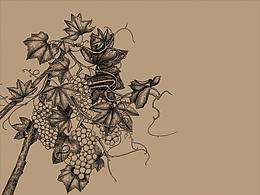 珩舟有机农庄包装插画