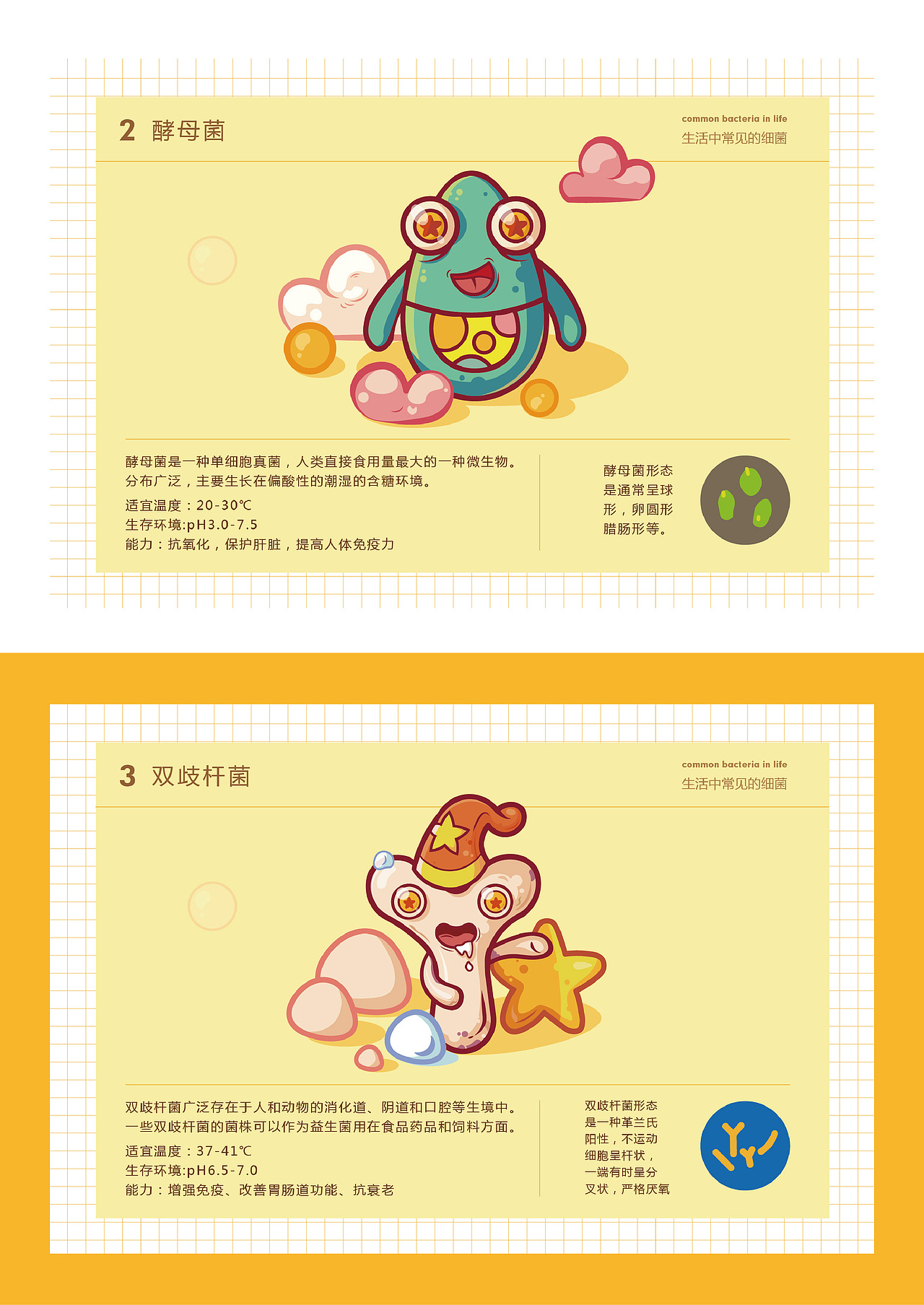 毕业设计|《图解细菌》#青春答卷2018#(图ZMTIyNjMxMDky) - 信息图表 - 站酷设计师楠楠的南瓜地原创素材 - 站酷ZCOOL