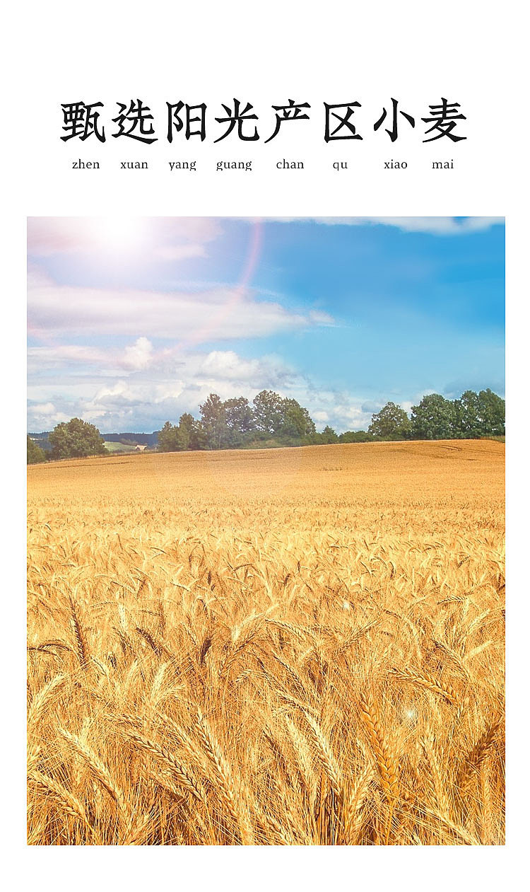 【饼干】拍摄+详情页设计分享VG800