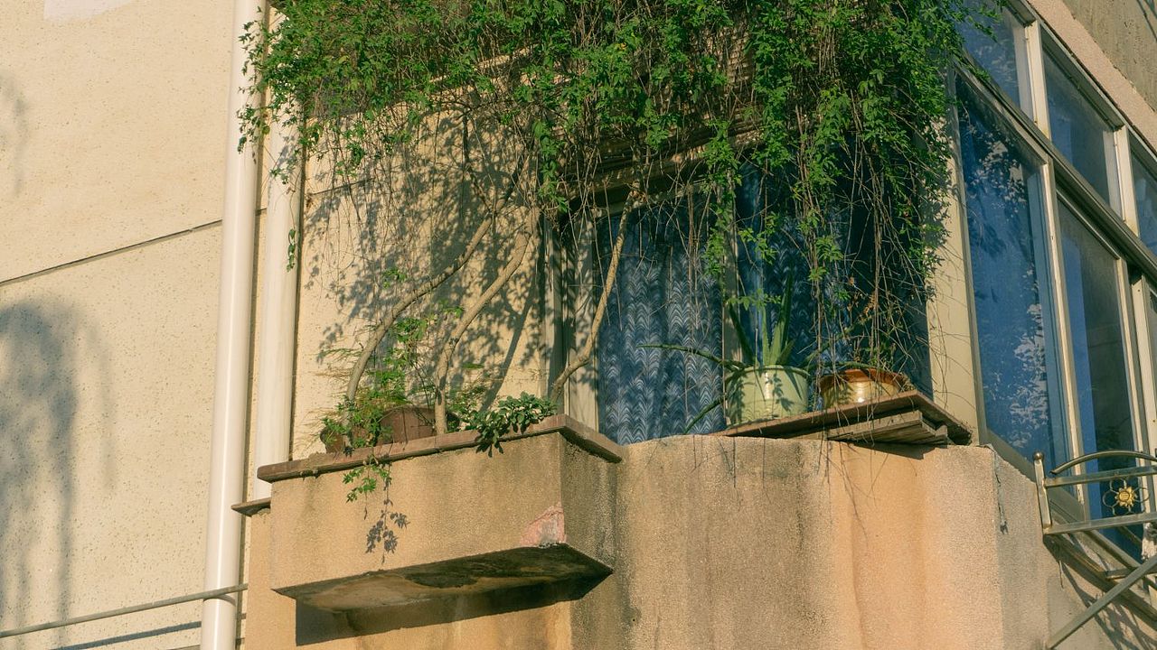 扫街分享（图ZMzU0Mjc1NzA0） - 人文/纪实摄影 - 站酷设计师ysbdbzjzikalqk原创素材 - 站酷ZCOOL