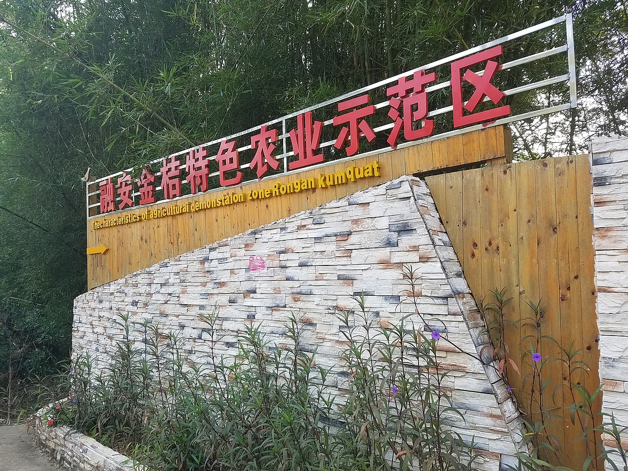 老男人果品融安金桔