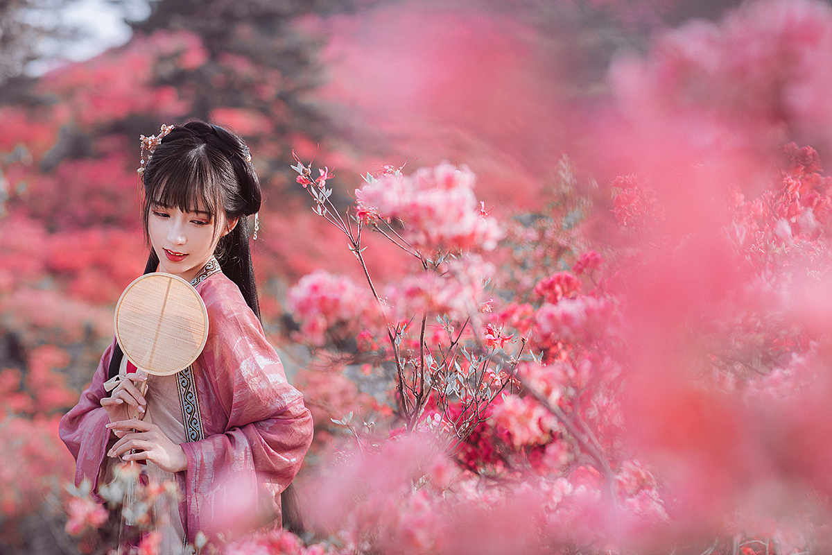 一路山花不负侬