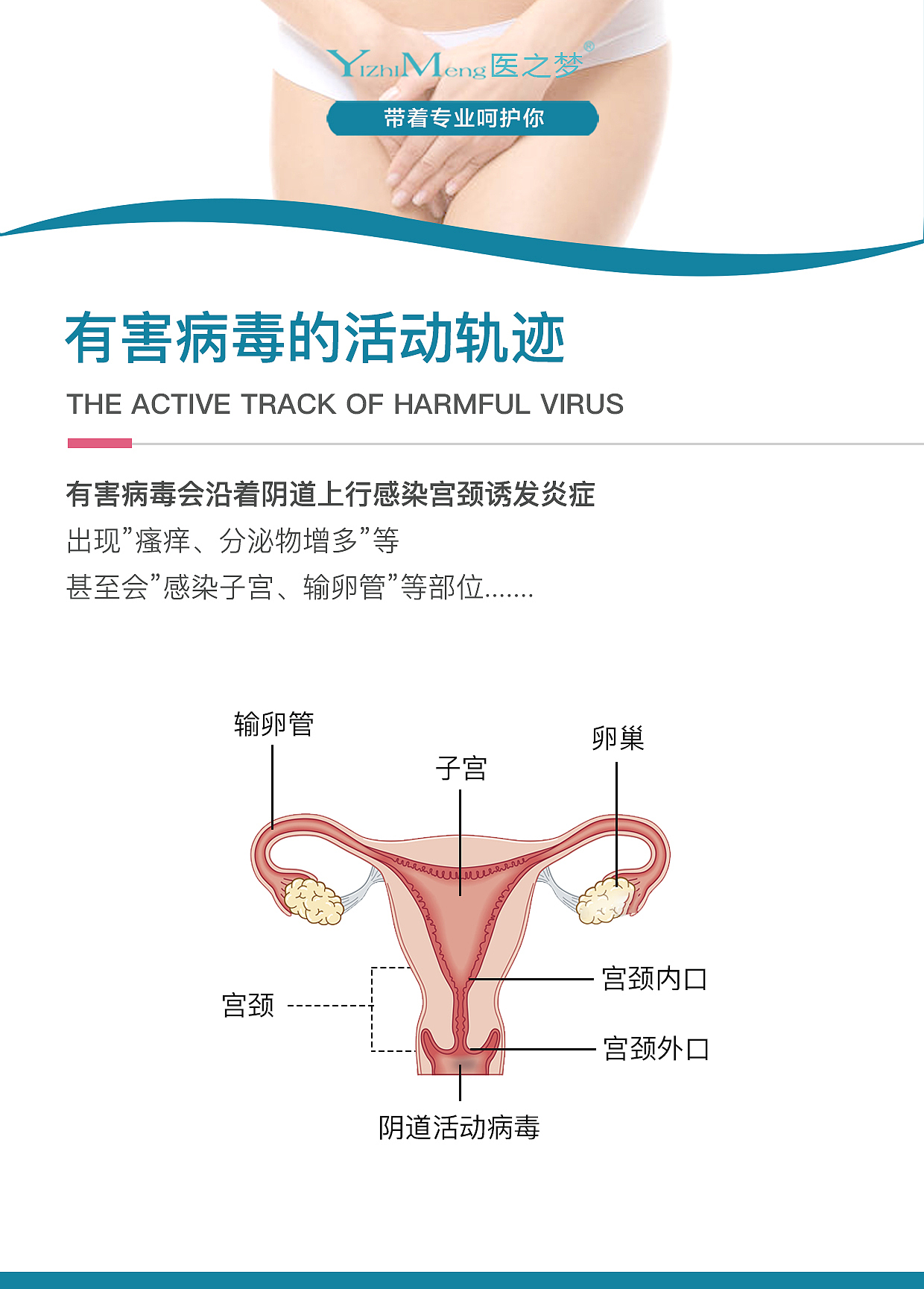 妇科私密凝胶科普类推广海报（图ZMjMxNzAyODQ0） - 海报 - 站酷设计师梦繇原创素材 - 站酷ZCOOL