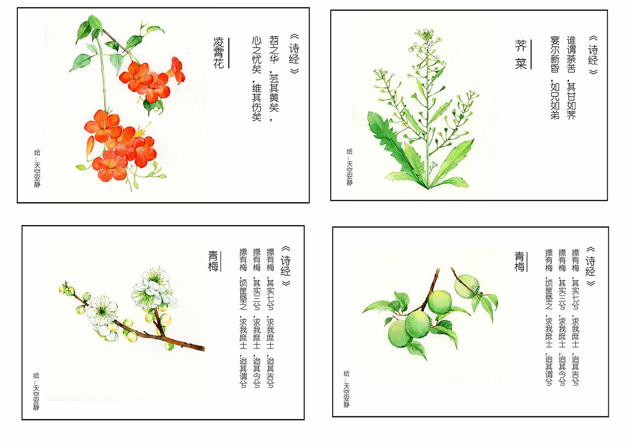 诗经更新（图ZMTUzNDIyMjc2） - 创作习作 - 站酷设计师天空安靜原创素材 - 站酷ZCOOL