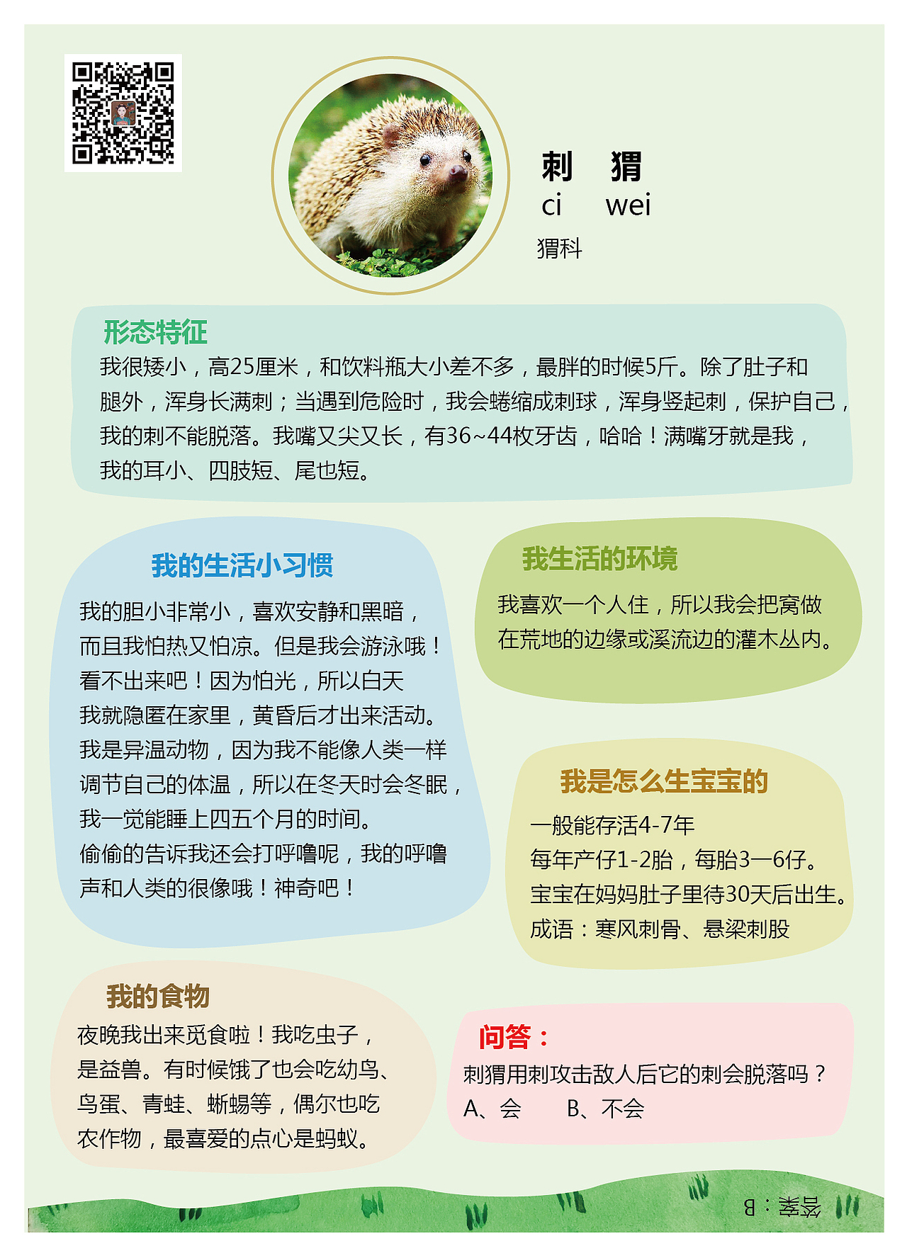 给宝宝画的动物单词图卡（上）