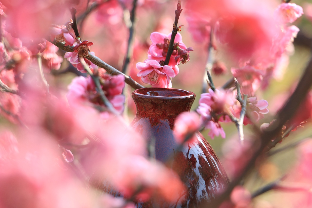 花间一壶酒,独酌无相亲