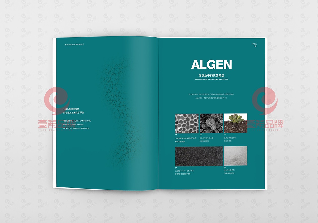 一希品牌设计--农业海藻科技公司画册宣传册设计（图ZMjA3ODExMTY4） - 书籍/画册 - 站酷设计师一希品牌设计原创素材 - 站酷ZCOOL