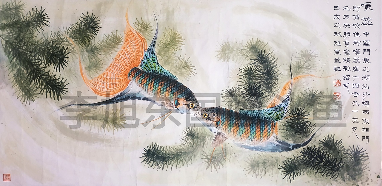 李旭东国画斗鱼《嘬蕊》