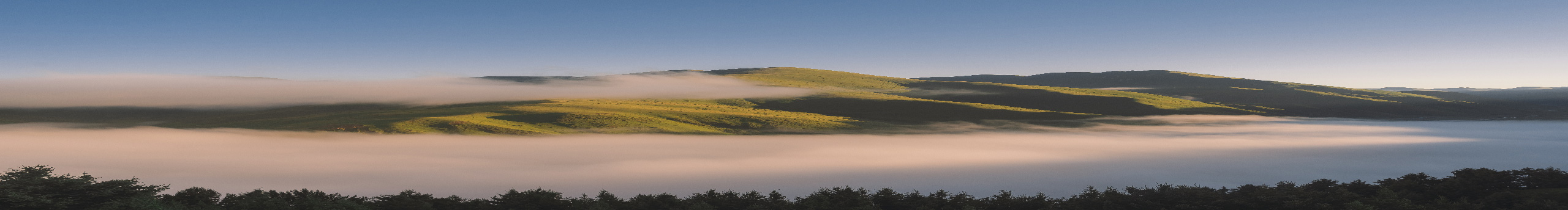 小型麻花的个人主页（封面预览） - 主页封面设置 - 站酷设计师小型麻花原创素材 - 站酷ZCOOL