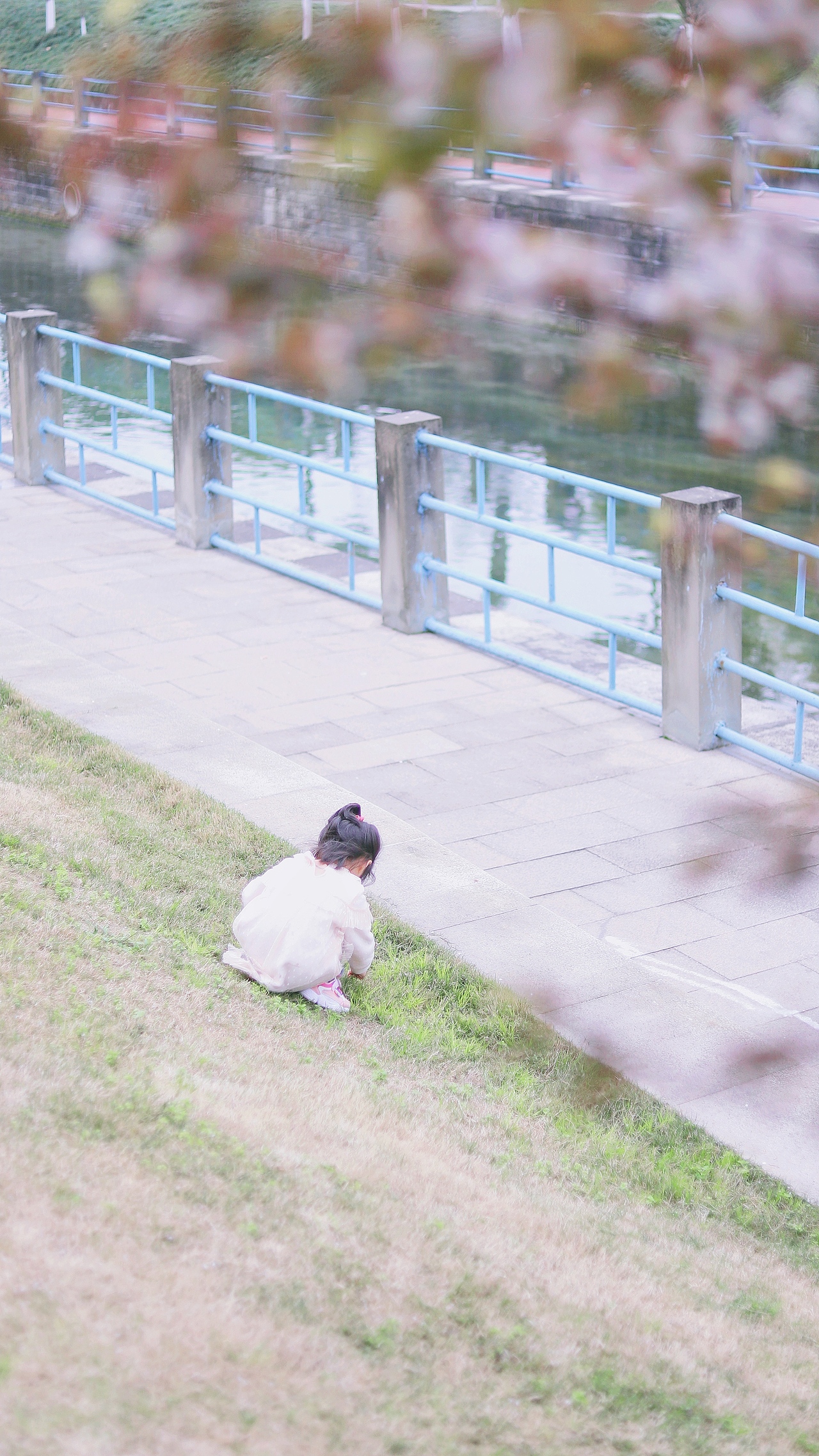 花枝春满，山河无恙，人间皆安（图ZMjAzODE4NTM2） - 风光摄影 - 站酷设计师吴所畏_原创素材 - 站酷ZCOOL