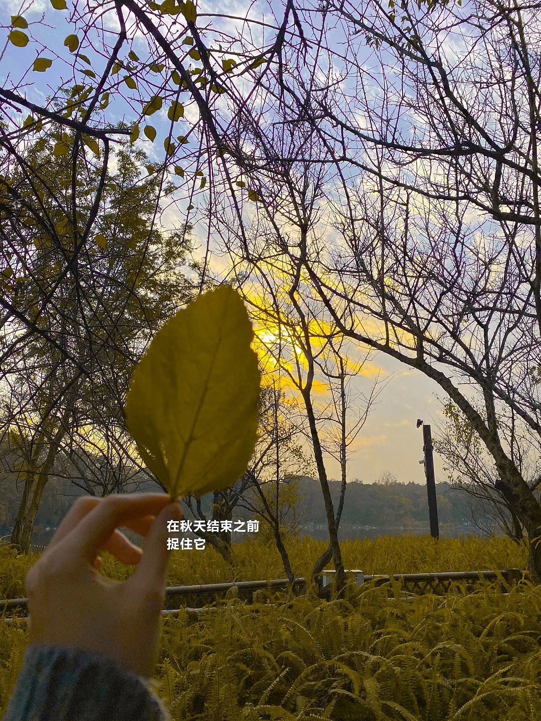 秋天的故事??（圖ZMjUwODcwODI0） - 風(fēng)光攝影 - 站酷設(shè)計(jì)師折葵J原創(chuàng)素材 - 站酷ZCOOL