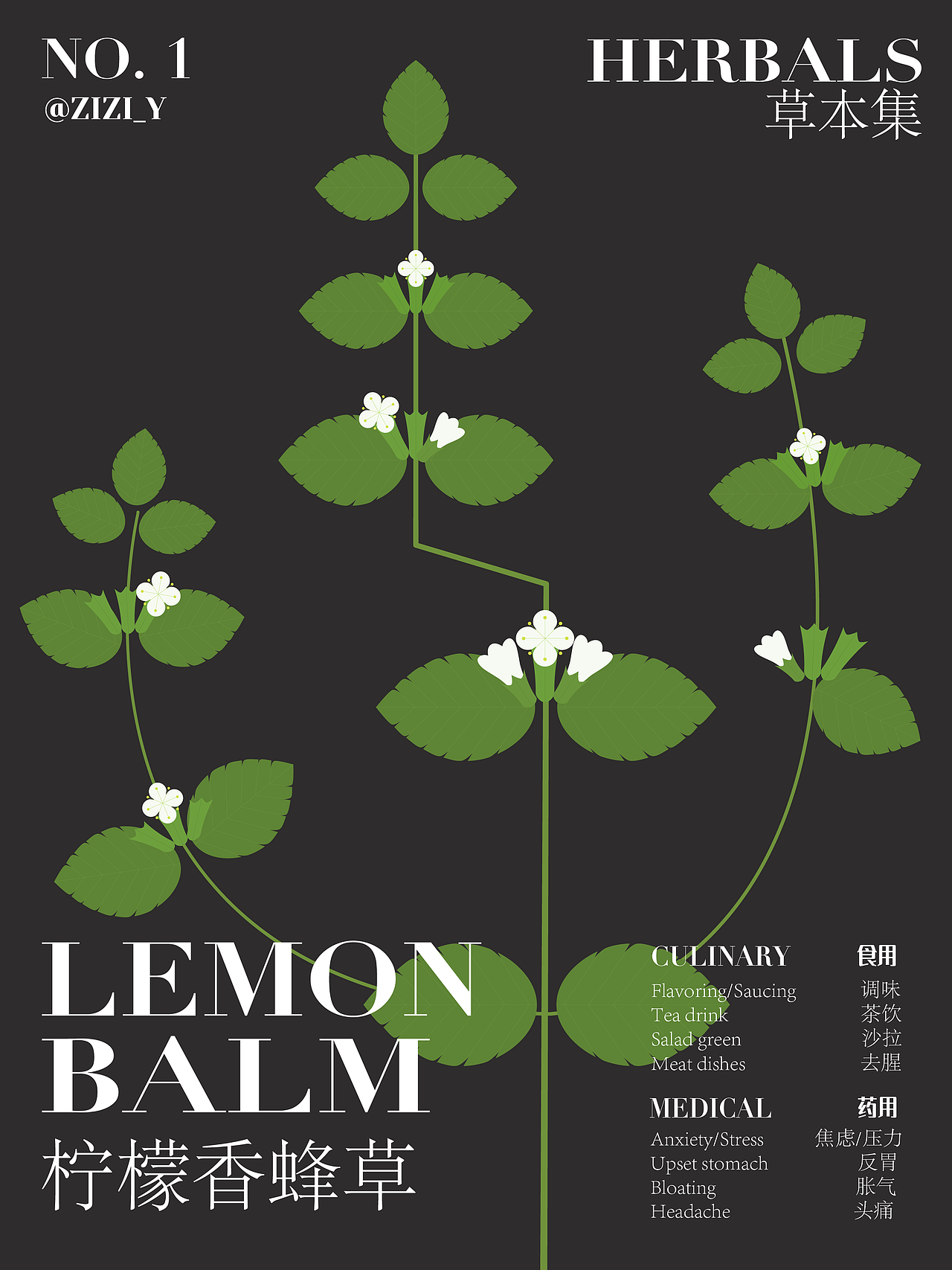 草本植物·草花系列（图ZMzA0NzM0OTg0） - 创作习作 - 站酷设计师ZiasPocketDesign原创素材 - 站酷ZCOOL