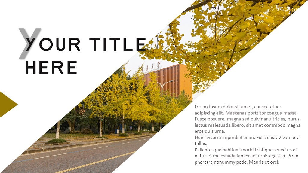 重大的秋（图ZMjM1MjAwNjEy） - PPT/Keynote - 站酷设计师造P工场原创素材 - 站酷ZCOOL