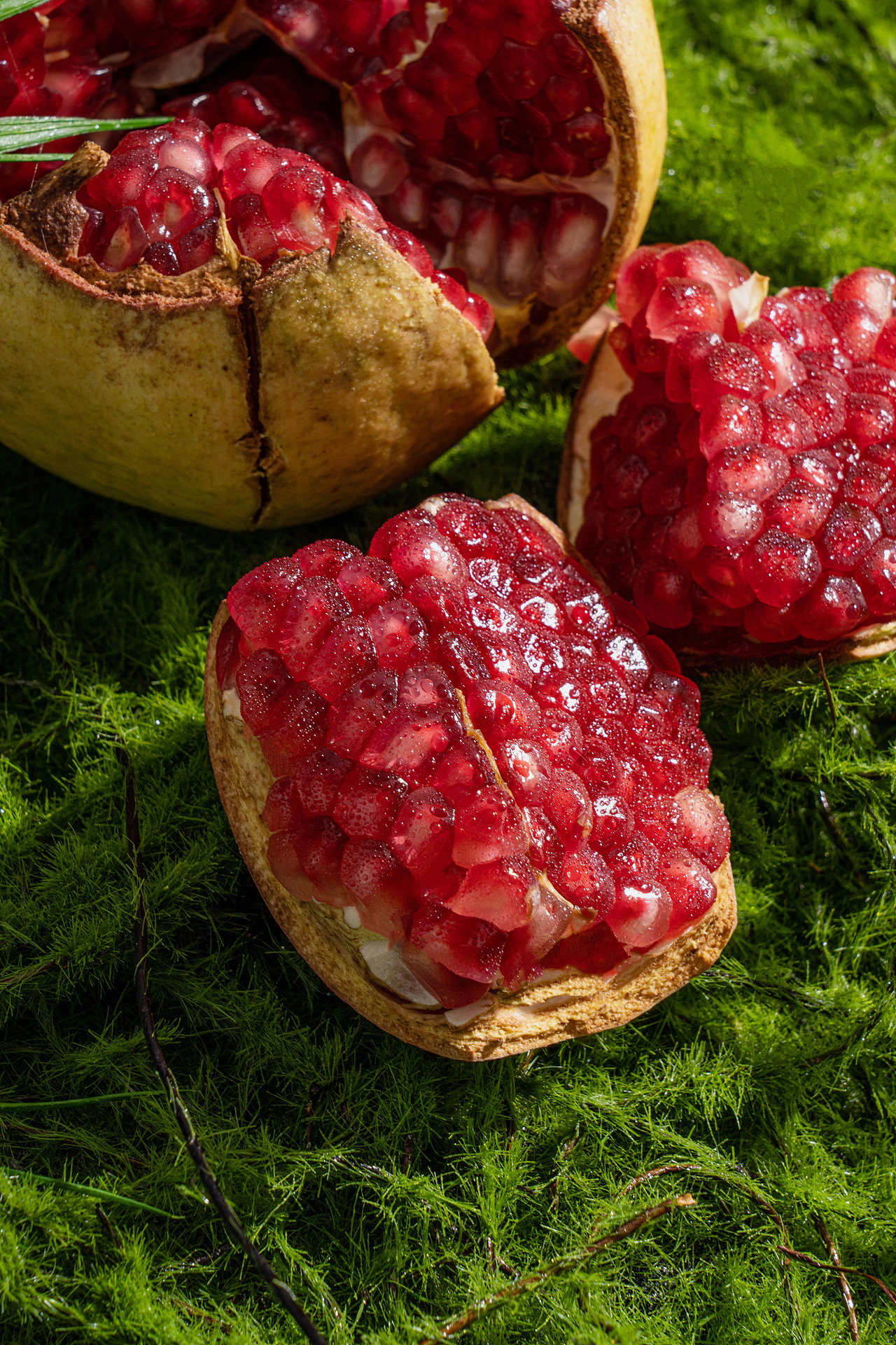 突尼斯软籽石榴