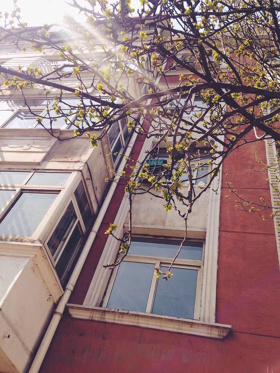 #随手拍#春天我们来遛鹿啊