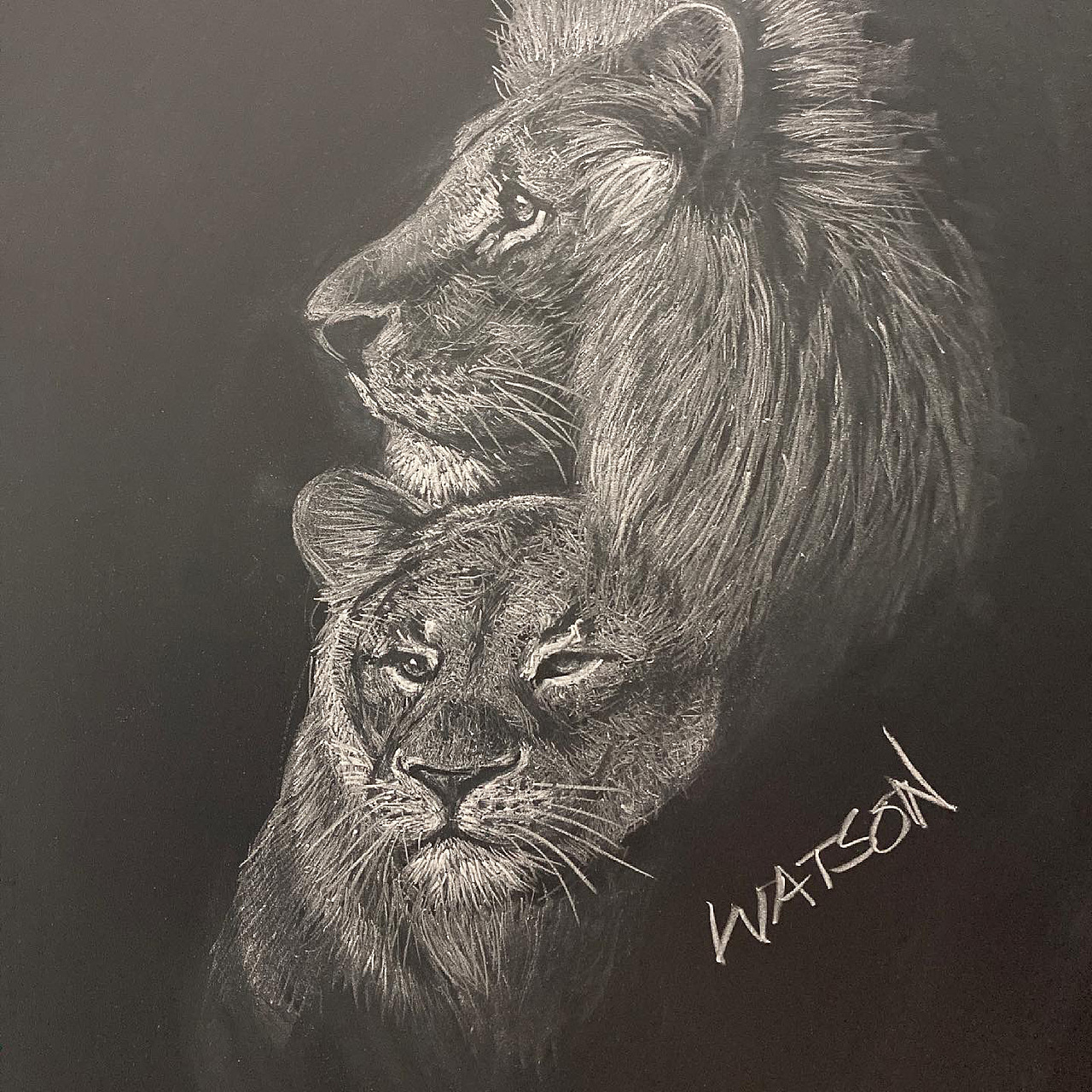 黑板粉笔画狮子王