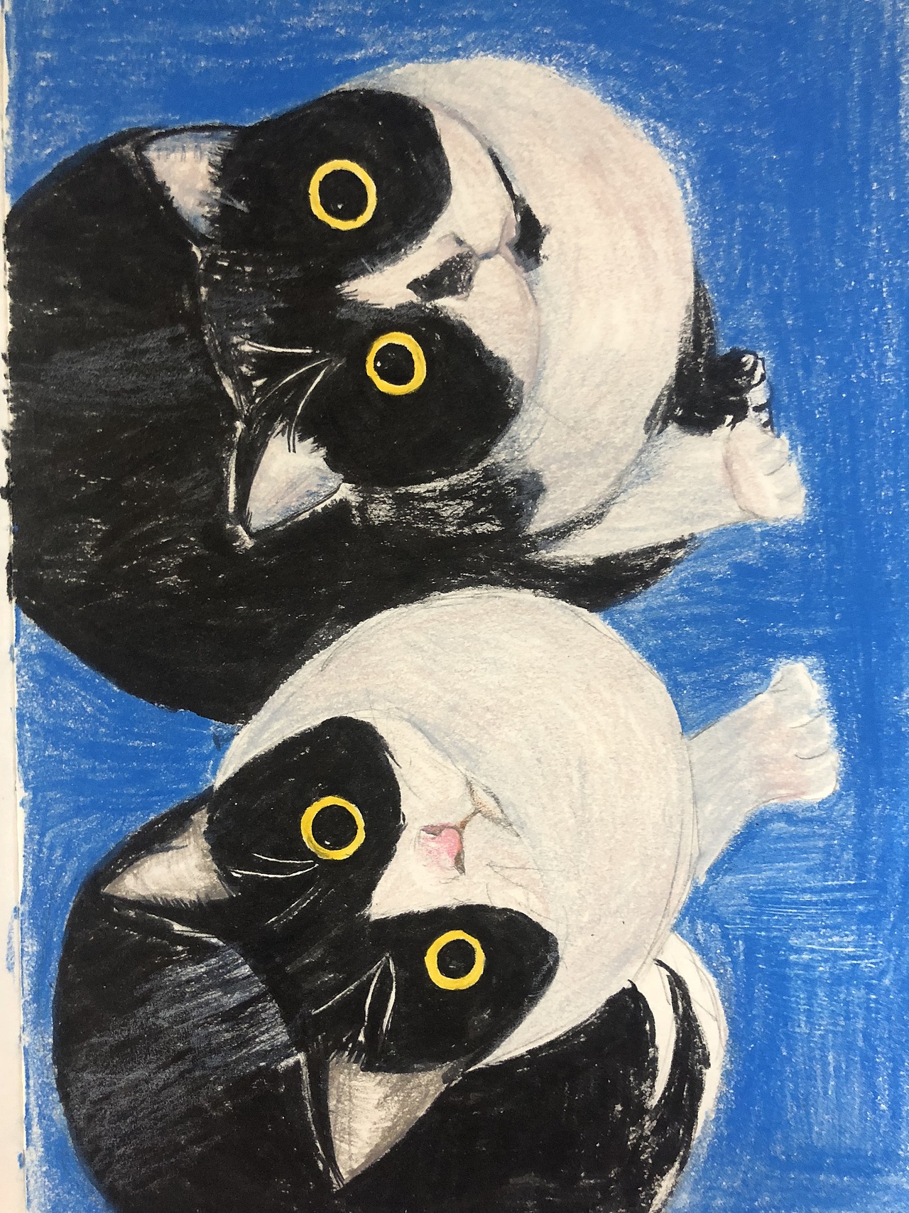 疯狂做项目的间隙——累了的涂涂画画（图ZMTY4OTM0NTE2） - 创作习作 - 站酷设计师要个花带原创素材 - 站酷ZCOOL