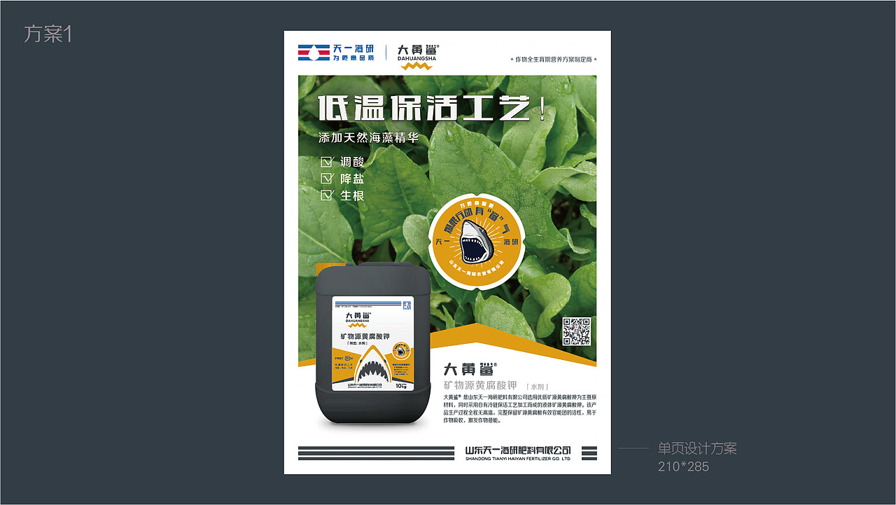 大黄鲨®️ 品建产品与包装建设设计方案（图ZMjYyMzU0NjY4） - 包装 - 站酷设计师马涛品牌建造师原创素材 - 站酷ZCOOL