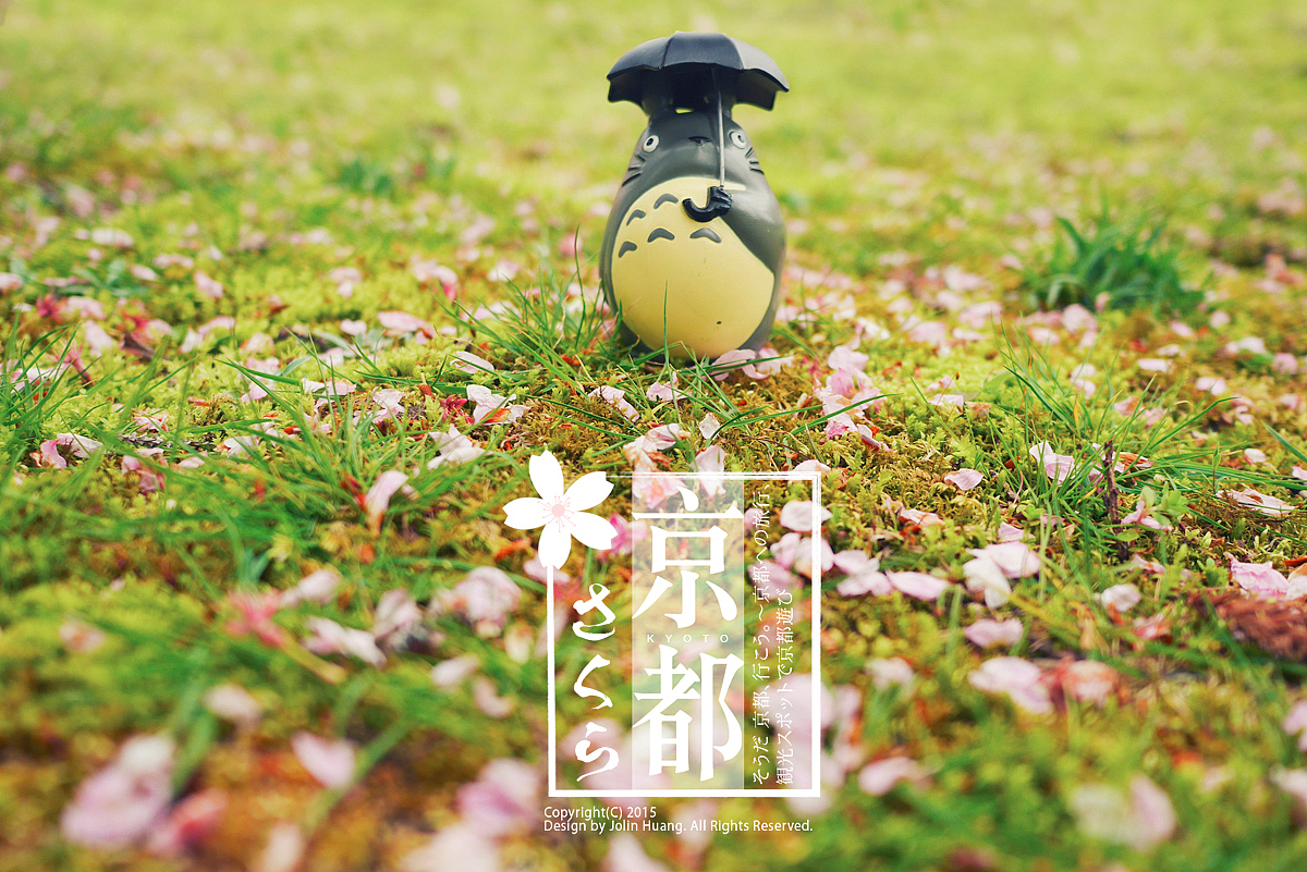 這些 那些 櫻花（图ZNDY5NTUxMDQ=） - 风光摄影 - 站酷设计师jolinivy原创素材 - 站酷ZCOOL