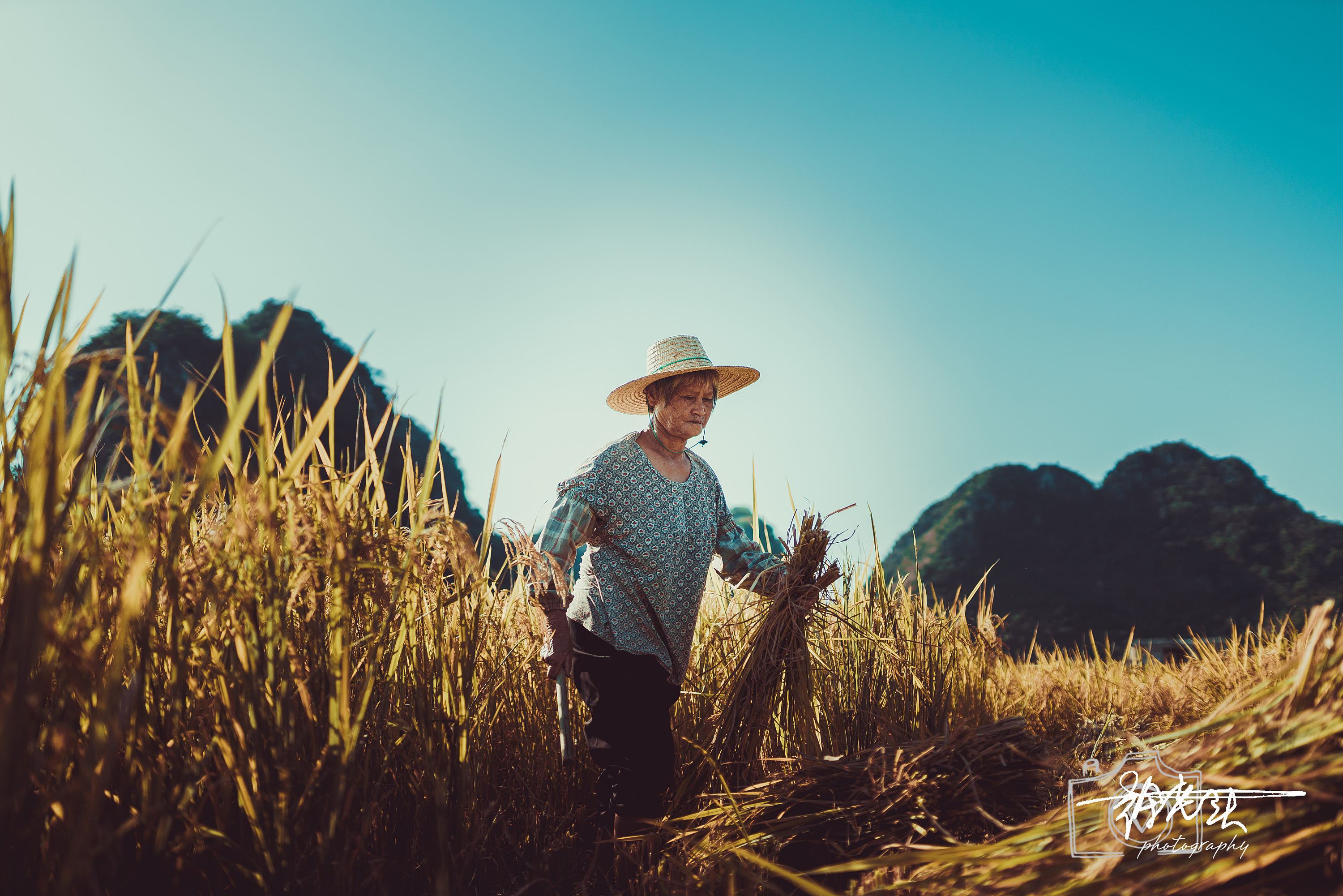 广东罗定乡村稻田徒步|摄影|人文/纪实|jason徐老头 - 原创作品