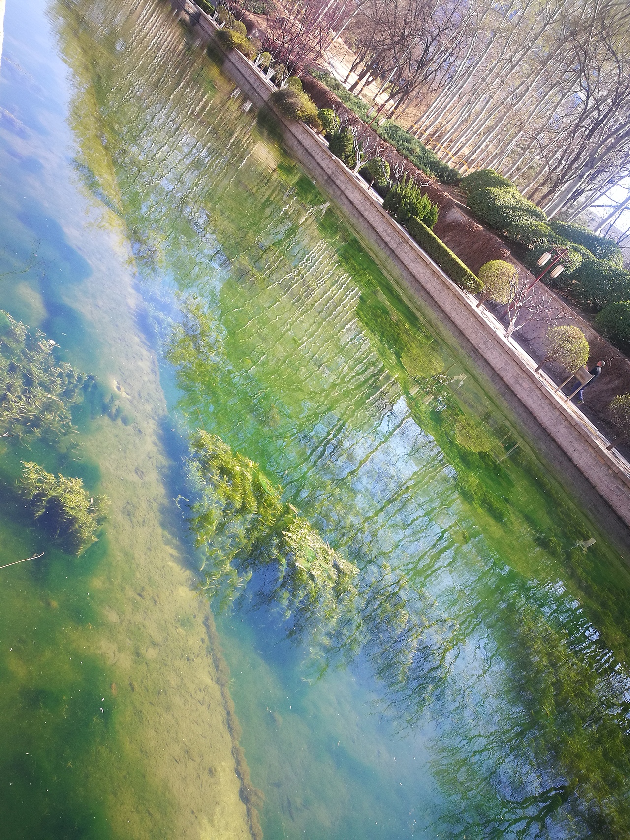 春暖花开2（图ZMTUxMDAyNDky） - 风光摄影 - 站酷设计师CearyQi原创素材 - 站酷ZCOOL