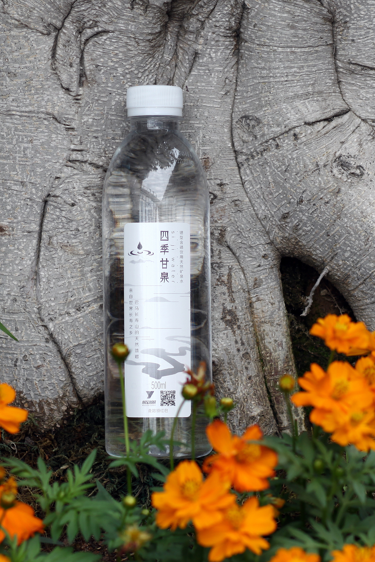四季甘泉矿泉水来自世界长寿乡巴马的天然甘泉