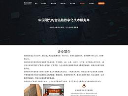 企業(yè)網(wǎng)站臨摹