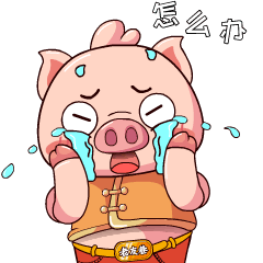 怎么办