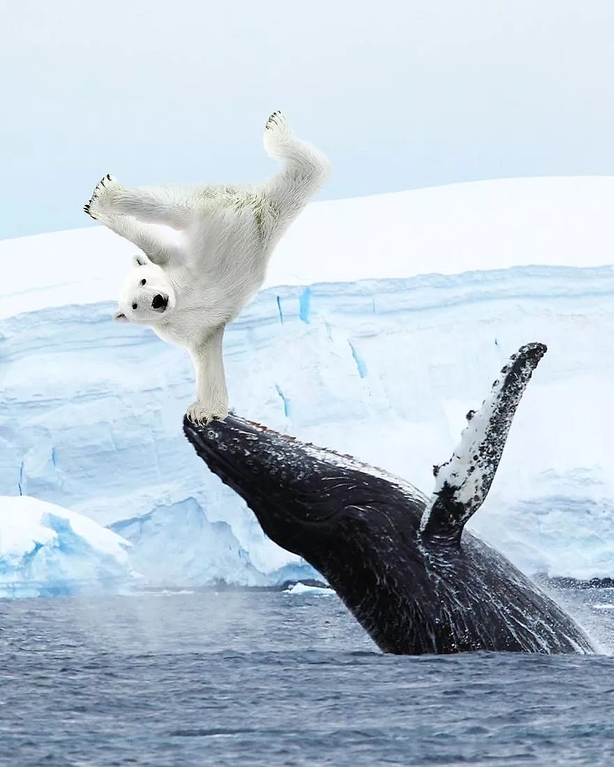 P地如此真实!  这是我希望达到的境界!