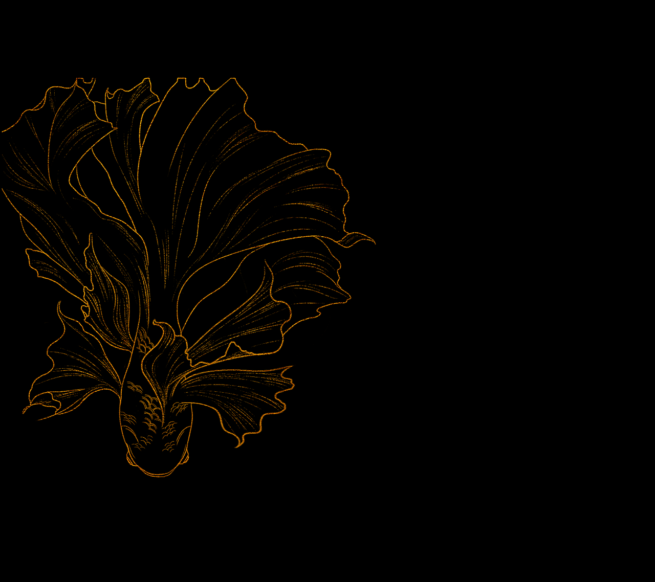 金箔金鱼线稿 免抠素材