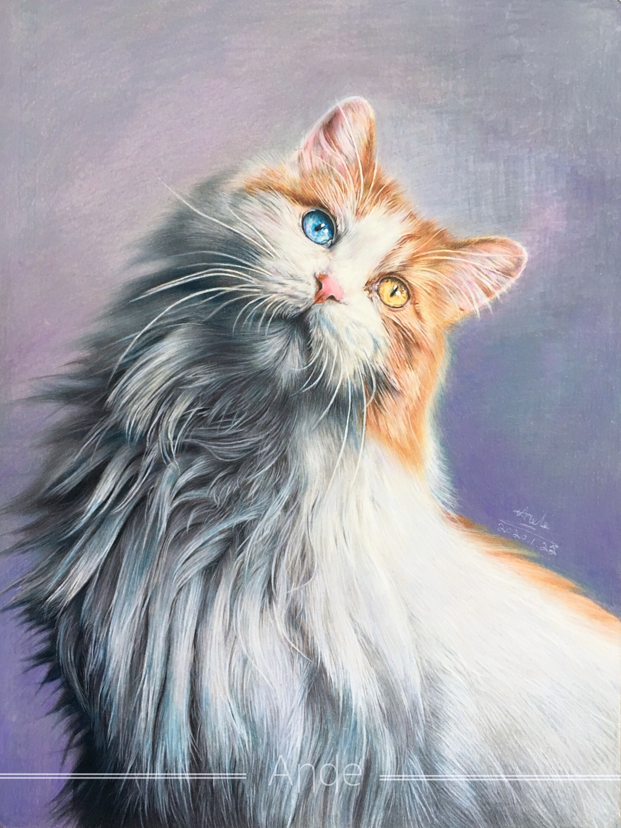 《异瞳布偶》|安德老师彩铅画作品|纯艺术|绘画|art安德 - 原创作品